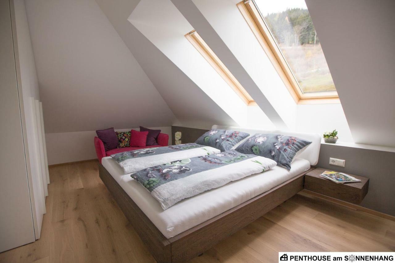 Penthouse Am Sonnenhang Mit Exklusiver Ausstattung Schladming Luaran gambar